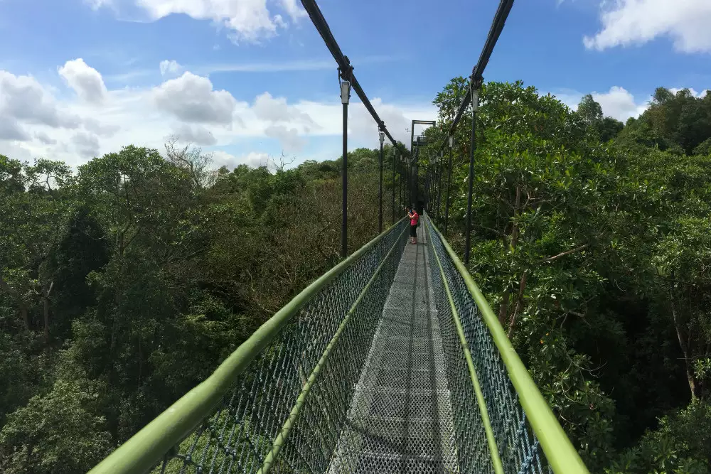 Bukit Timah Nature Reserve